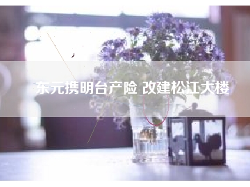 東元攜明臺產(chǎn)險 改建松江大樓