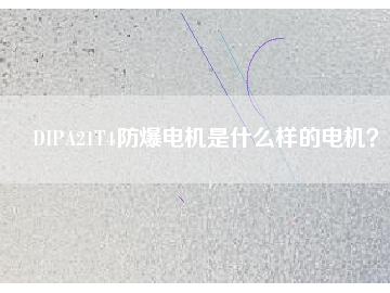 DIPA21T4防爆電機(jī)是什么樣的電機(jī)？