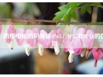 防爆電機防護等級IP65，IP55和IP54的區(qū)別