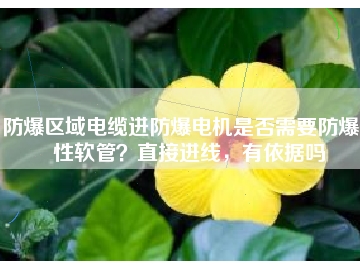防爆區(qū)域電纜進防爆電機是否需要防爆撓性軟管？直接進線，有依據(jù)嗎