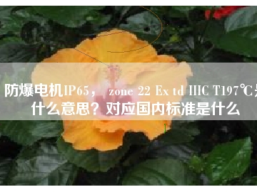 防爆電機IP65， zone 22 Ex td IIIC T197℃是什么意思？對應(yīng)國內(nèi)標(biāo)準(zhǔn)是什么