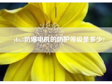 ybx3防爆電機的防護等級是多少?