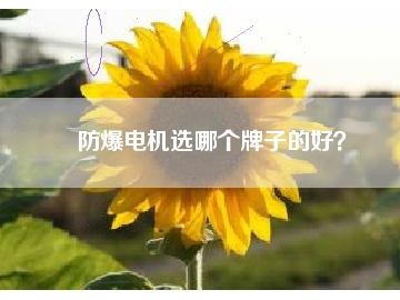防爆電機(jī)選哪個(gè)牌子的好？