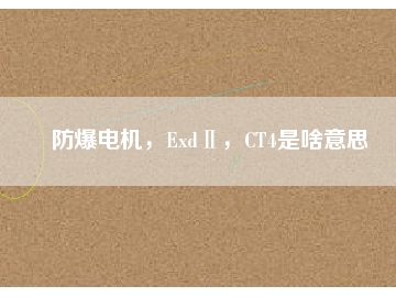 防爆電機(jī)，ExdⅡ，CT4是啥意思