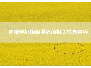 防爆電機繞組浸漆前相關(guān)檢查內(nèi)容