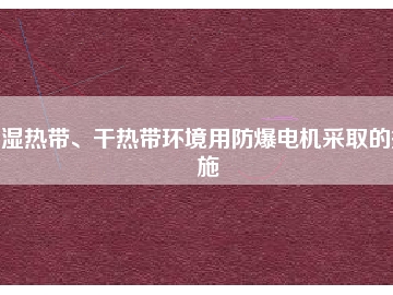 濕熱帶、干熱帶環(huán)境用防爆電機(jī)采取的措施
