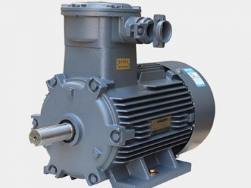 防爆電機(jī)與普通電機(jī)之間有什么區(qū)別