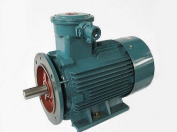 防爆電機(jī)驗(yàn)收時(shí)除了銘牌外，還要注意哪些？