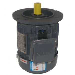 TEF3系列AEMV3N高效三相異步電機(jī)