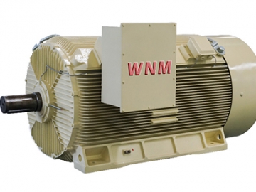 Y2系列高壓三相異步電動(dòng)機(jī)