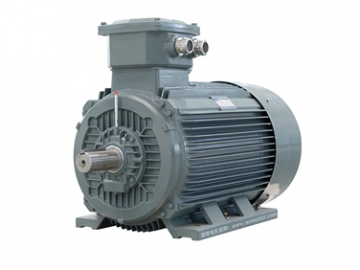 YBX3 系列高效率隔爆型(Ex dII CT4)三相電動機