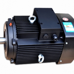 多級泵專用電機