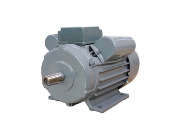 YL系列雙值電容異步電動(dòng)機(jī)