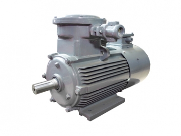YBBP系列隔爆型變頻調(diào)速三相異步電動(dòng)機(jī)