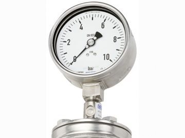 DSS10M符合EN837-1的壓力表組裝隔膜密封