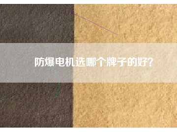 防爆電機(jī)選哪個(gè)牌子的好？