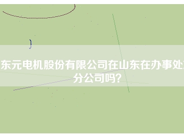 東元電機(jī)股份有限公司在山東在辦事處或分公司嗎？