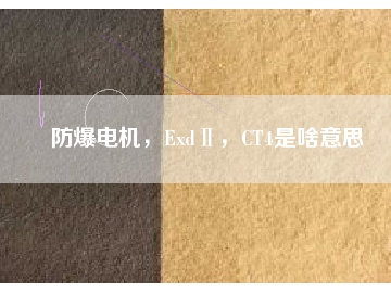 防爆電機(jī)，ExdⅡ，CT4是啥意思