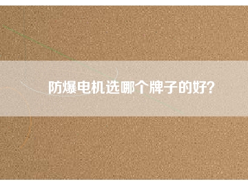 防爆電機(jī)選哪個(gè)牌子的好？