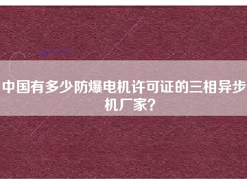 中國有多少防爆電機(jī)許可證的三相異步電機(jī)廠家？