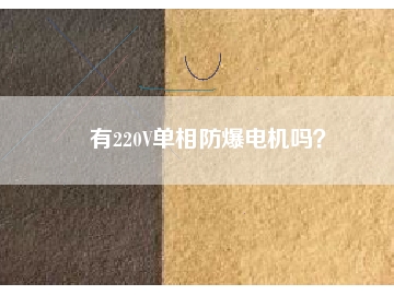 有220V單相防爆電機(jī)嗎？