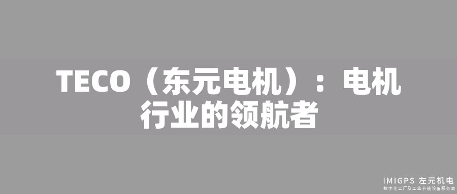 TECO(東元電機(jī)):電機(jī)行業(yè)的領(lǐng)航者 TECO(東元電機(jī)):電機(jī)行業(yè)的領(lǐng)航者