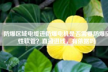防爆區(qū)域電纜進(jìn)防爆電機(jī)是否需要防爆撓性軟管？直接進(jìn)線，有依據(jù)嗎