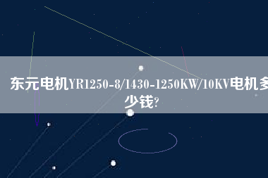 東元電機(jī)YR1250-8/1430-1250KW/10KV電機(jī)多少錢(qián)?