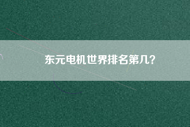 東元電機(jī)世界排名第幾？