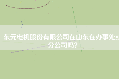 東元電機(jī)股份有限公司在山東在辦事處或分公司嗎？