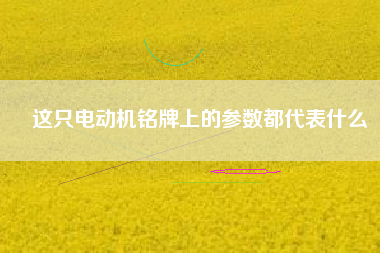 這只電動(dòng)機(jī)銘牌上的參數(shù)都代表什么 這只電動(dòng)機(jī)銘牌上的參數(shù)都代表什么