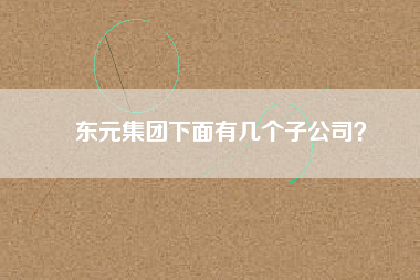 東元集團下面有幾個子公司？