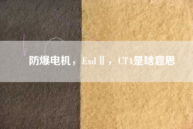 防爆電機，ExdⅡ，CT4是啥意思