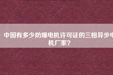 中國有多少防爆電機許可證的三相異步電機廠家？