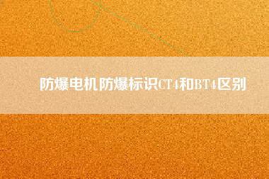 防爆電機防爆標識CT4和BT4區(qū)別